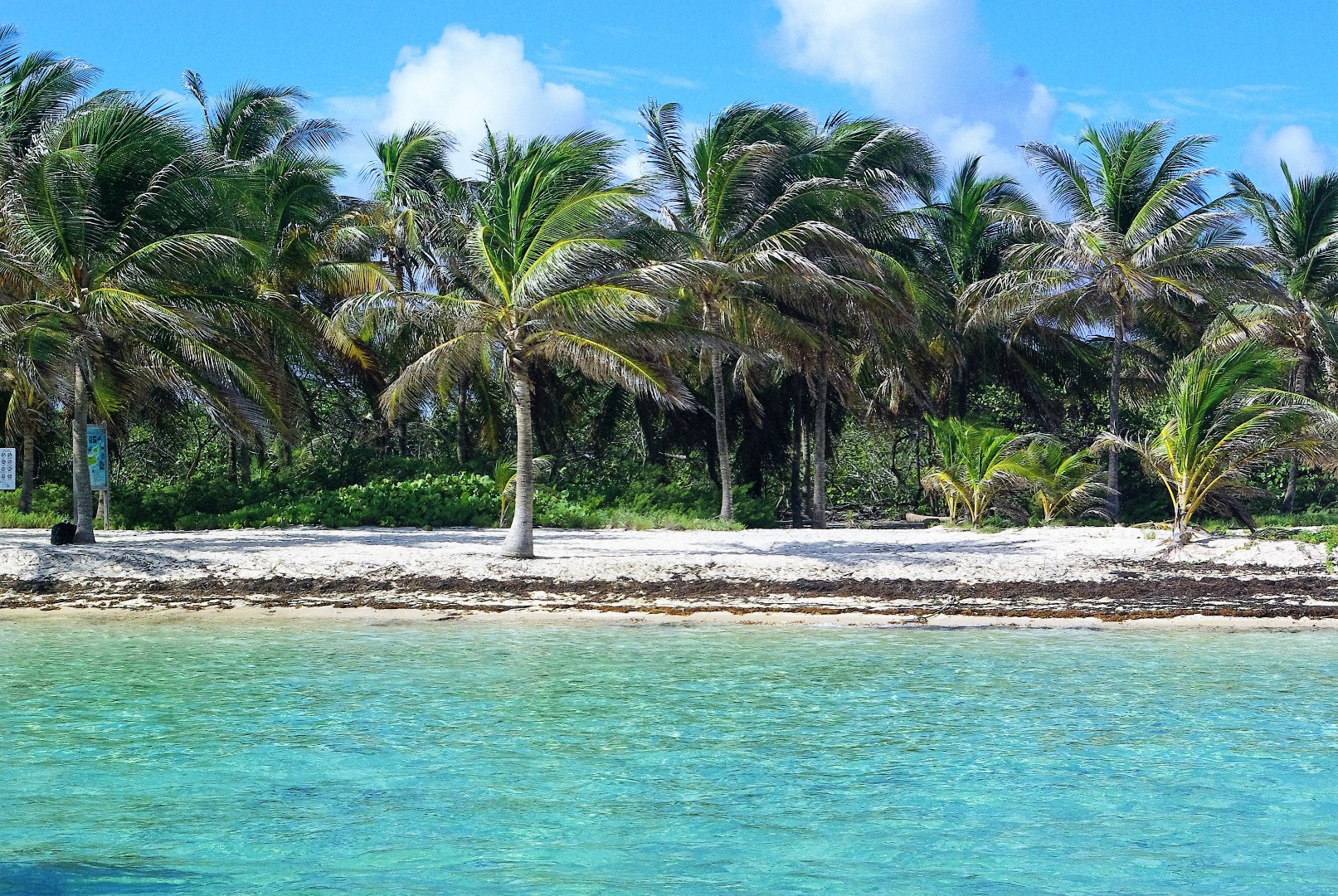 Découvrez La Guadeloupe Destination Idyllique Des Antilles
